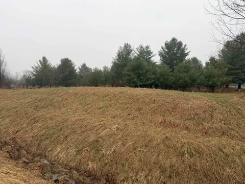 Track Iron Trail, Gladwin MI 48624 photo 5