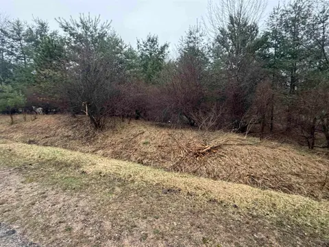 Lexington Avenue, Gladwin MI 48624 photo 5