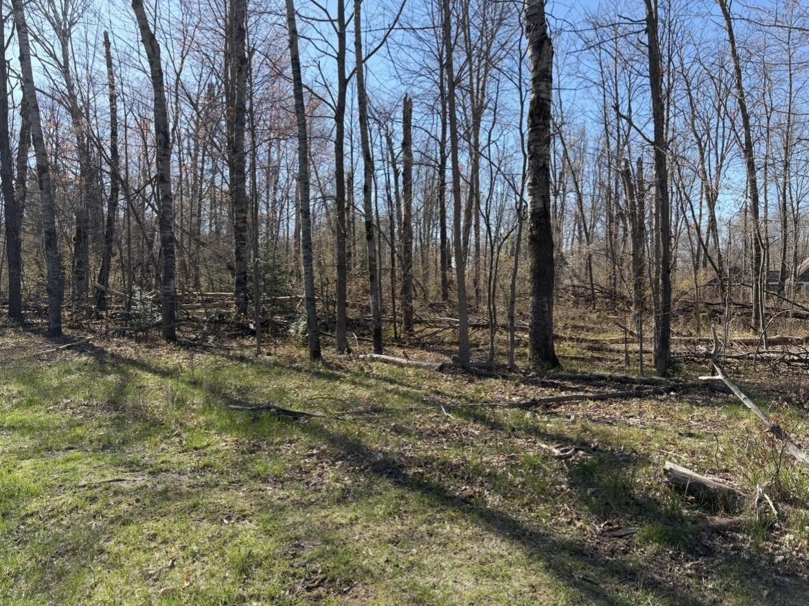 lot 183-186 Shadowbrook Drive, Lake MI 48632 photo 1