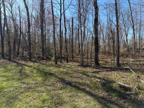 lot 183-186 Shadowbrook Drive, Lake MI 48632 photo 1