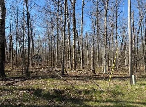 lot 183-186 Shadowbrook Drive, Lake MI 48632 photo 2