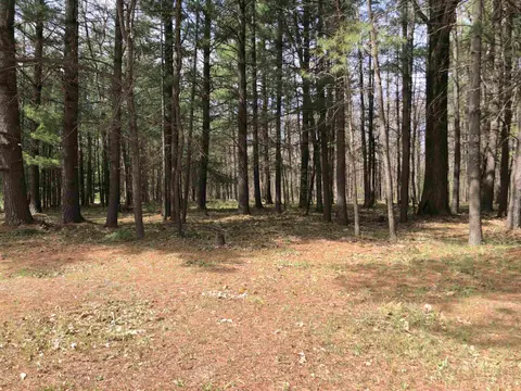 TBD W Eight Point Lake Road, Lake MI 48632 photo 1