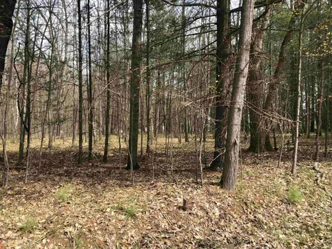 TBD W Eight Point Lake Road, Lake MI 48632 photo 2