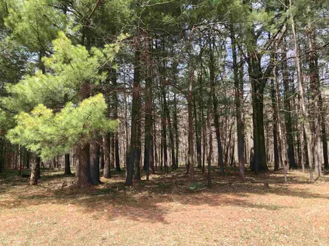 TBD W Eight Point Lake Road, Lake MI 48632 photo 3