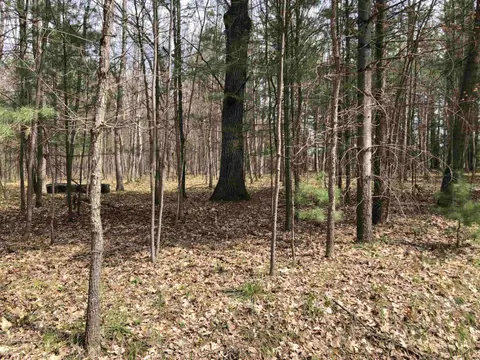 TBD W Eight Point Lake Road, Lake MI 48632 photo 5