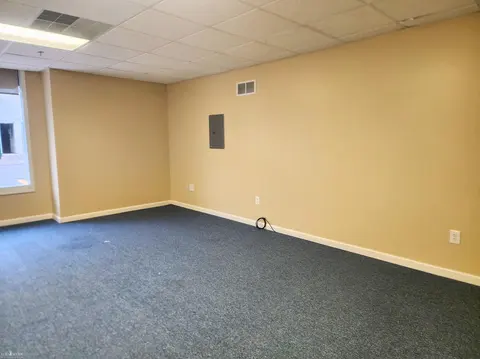209 N Ball Street, Owosso MI 48867 photo 5
