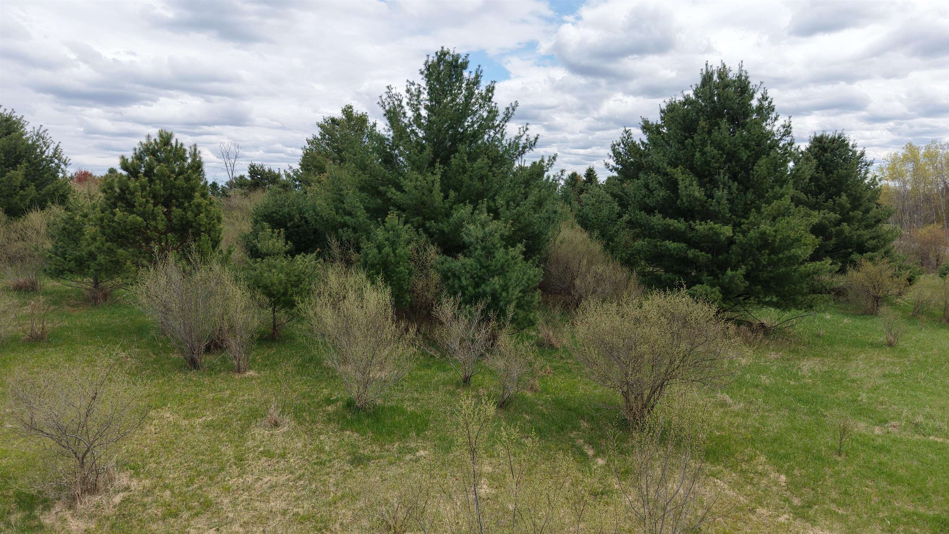 Lot 324 Track Iron Trail, Gladwin MI 48624 photo 1