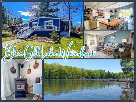 791 Blue Gill Lake Road, Harrison MI 48625 photo 2