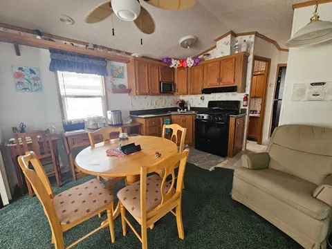 2221 Grass Lake #251 Avenue, Lake MI 48632 photo 3