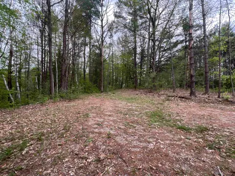 8919 E Gladwin Road, Harrison MI 48624 photo 2