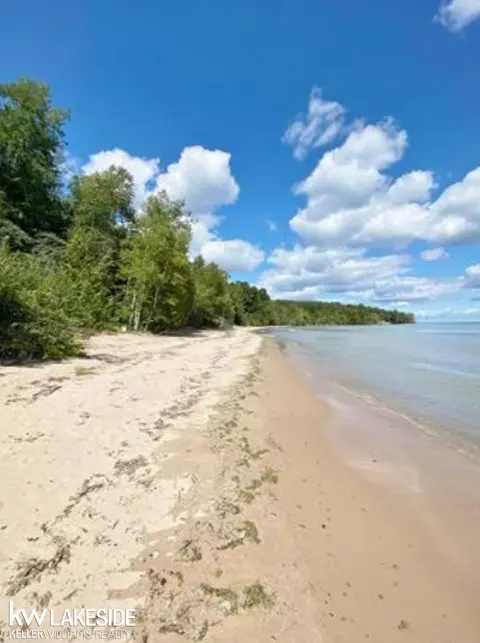 6248 Lakeshore Drive, Palms MI 48465 photo 1