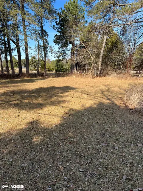6248 Lakeshore Drive, Palms MI 48465 photo 3