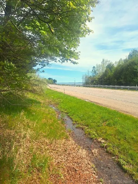 Parcel 2 Lakeshore Road, Applegate MI 48401 photo 4
