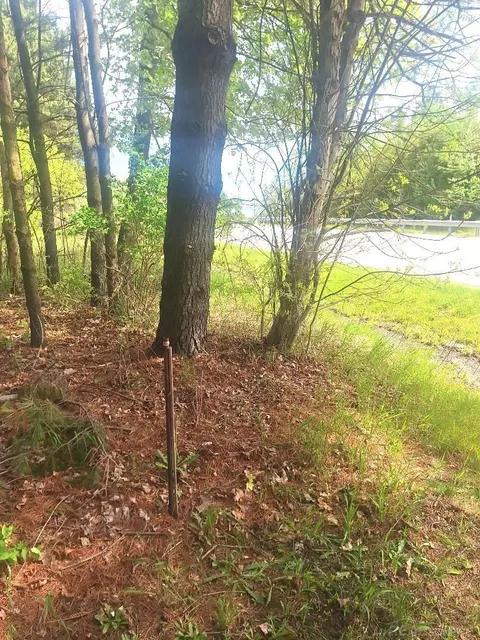 Parcel 2 Lakeshore Road, Applegate MI 48401 photo 5