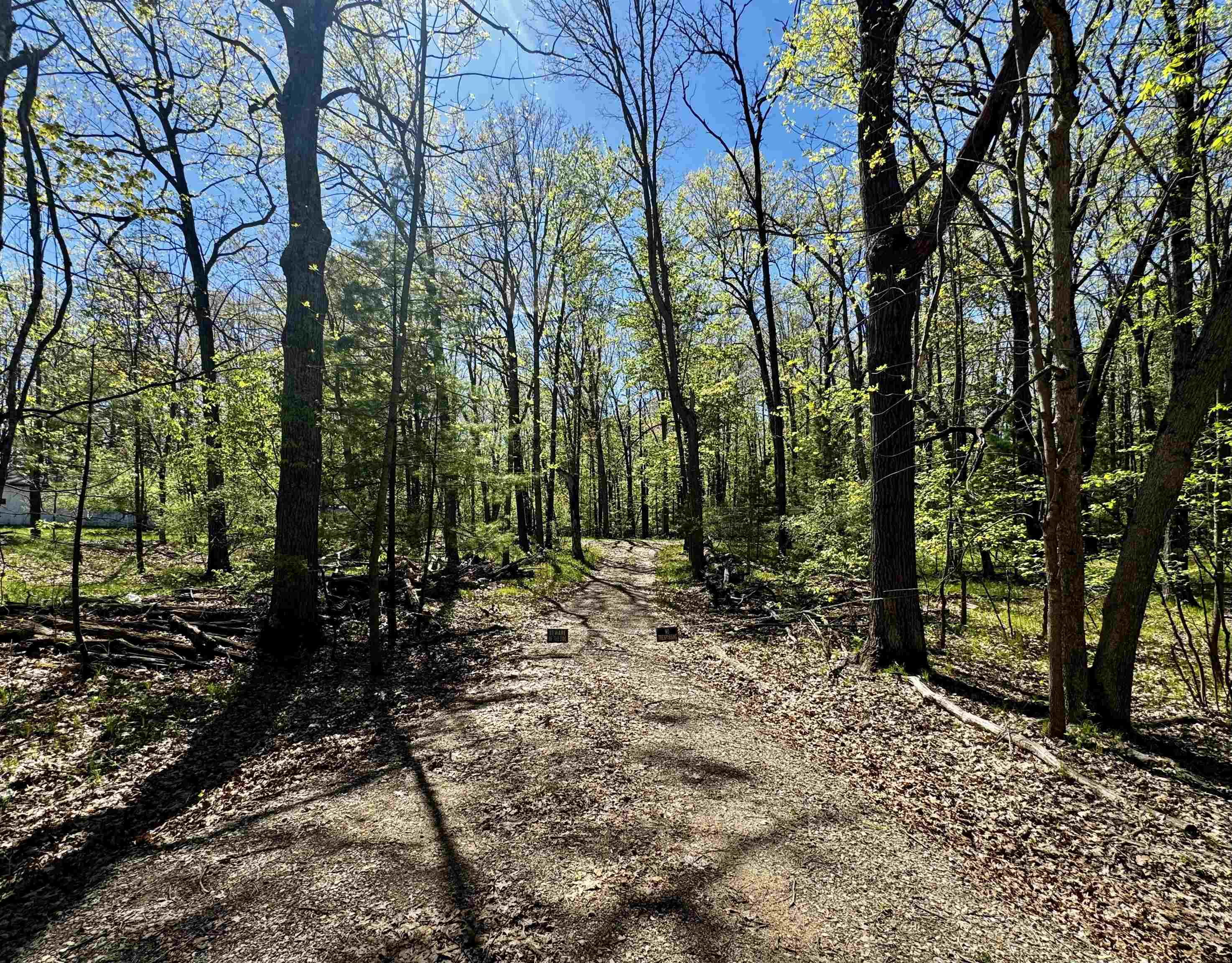 4950 Squirrel Run, Farwell MI 48622 photo 1