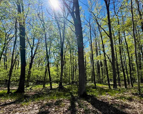 4950 Squirrel Run, Farwell MI 48622 photo 3