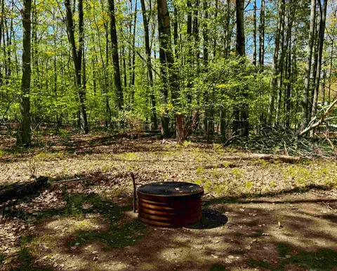 4950 Squirrel Run, Farwell MI 48622 photo 4