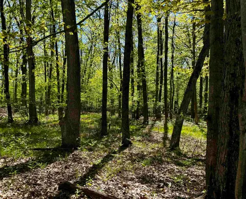 4950 Squirrel Run, Farwell MI 48622 photo 5