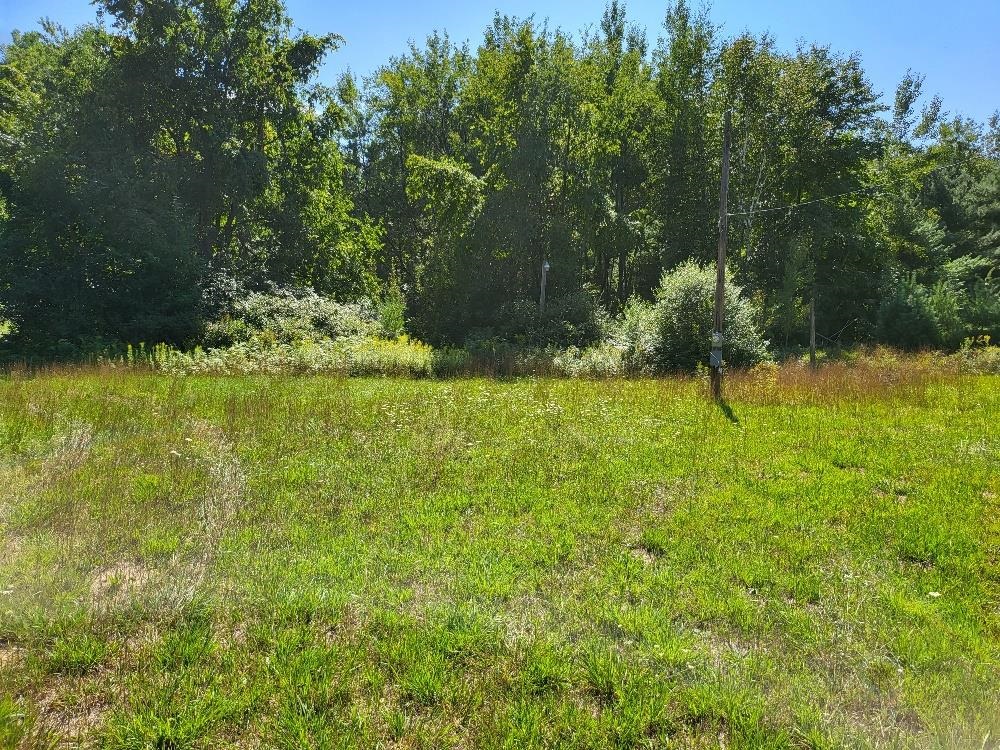 498 Ridge Road, Gladwin MI 48624 photo 1