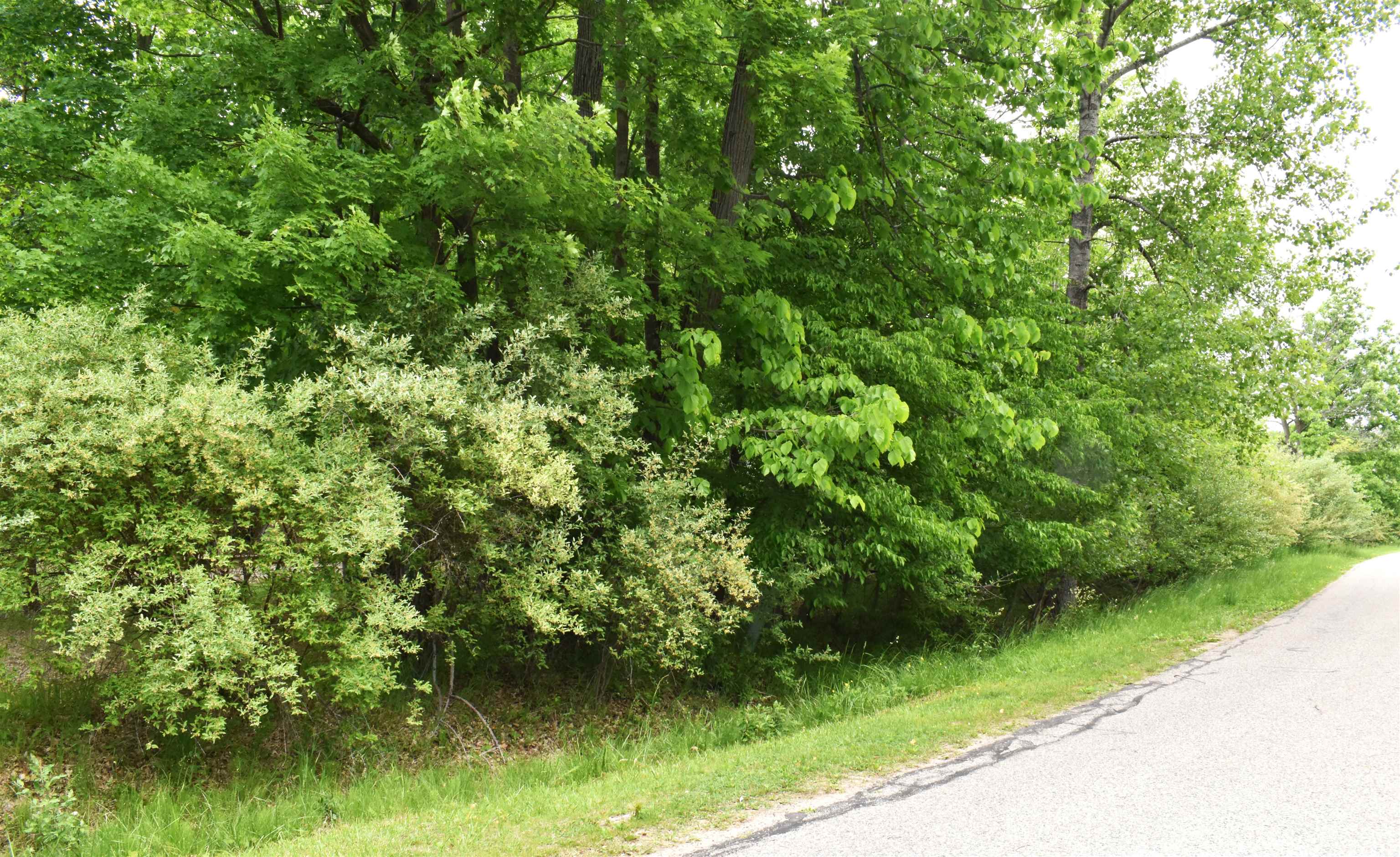 Lot 271 Islanders Way, Gladwin MI 48624 photo 1