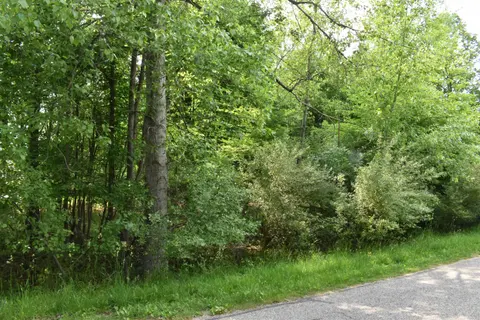 Lot 271 Islanders Way, Gladwin MI 48624 photo 2