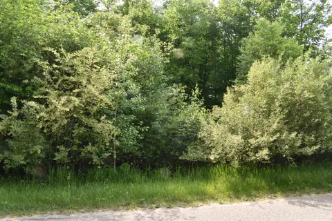 Lot 271 Islanders Way, Gladwin MI 48624 photo 3