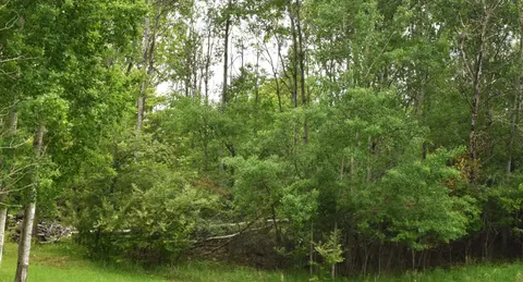 Lot 271 Islanders Way, Gladwin MI 48624 photo 4