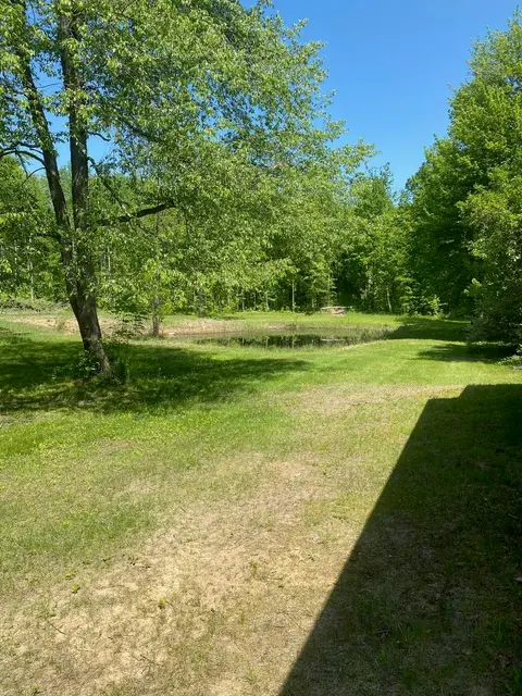 3302 W Dana Drive, Coleman MI 48618 photo 3
