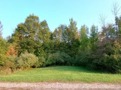 Lots 60-61 Huntington Circle, Gladwin MI 48624 photo 1