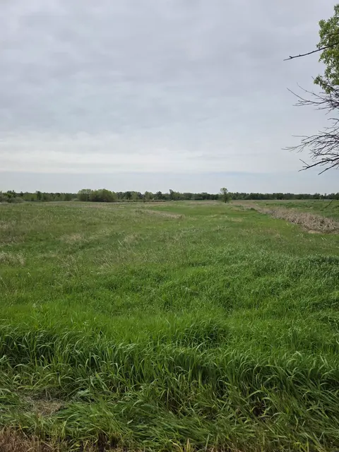 V/L E Stevenson Lake Road, Clare MI 48617 photo 3