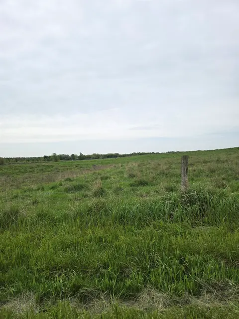 V/L E Stevenson Lake Road, Clare MI 48617 photo 4