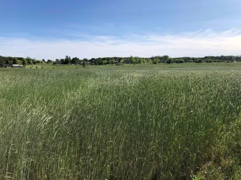 V/L N Isabella Road, Clare MI 48617 photo 2