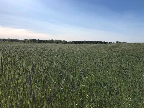 V/L N Isabella Road, Clare MI 48617 photo 3