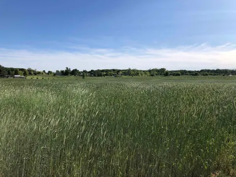 V/L N Isabella Road, Clare MI 48617 photo 5