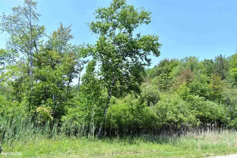 0 Oak Beach Road, Port Austin MI 48467 photo 2