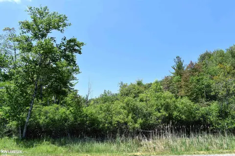 0 Oak Beach Road, Port Austin MI 48467 photo 3