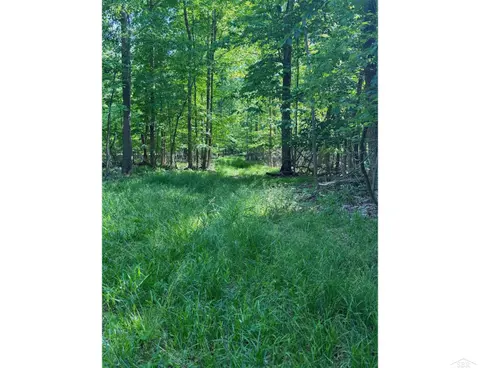 0 Lange Road, Bridgeport MI 48722 photo 2