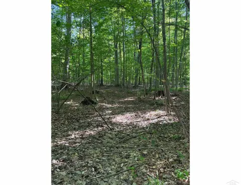 0 Lange Road, Bridgeport MI 48722 photo 3