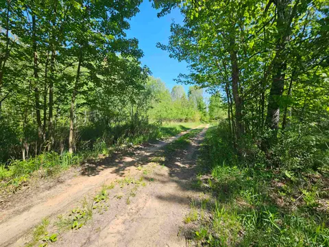 5350 Cranberry Lake Road, Harrison MI 48625 photo 2