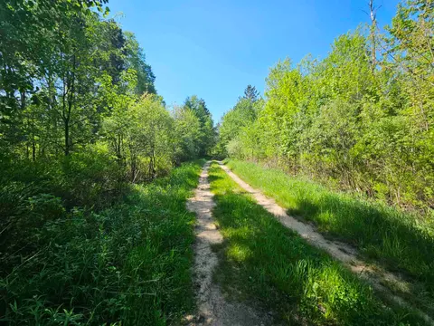 5350 Cranberry Lake Road, Harrison MI 48625 photo 3