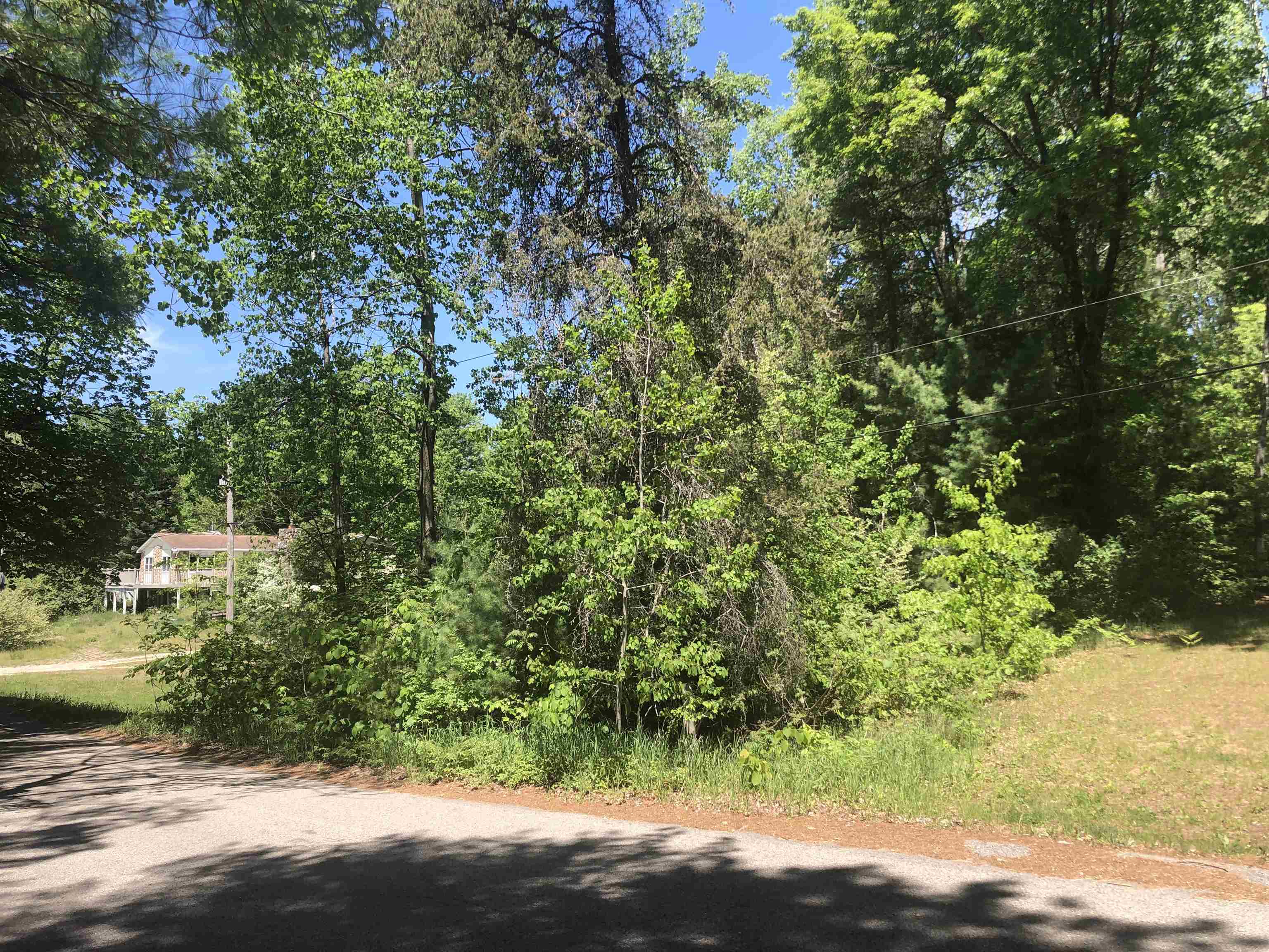 tbd N Scott Drive, Farwell MI 48622 photo 1