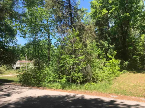 tbd N Scott Drive, Farwell MI 48622 photo 1