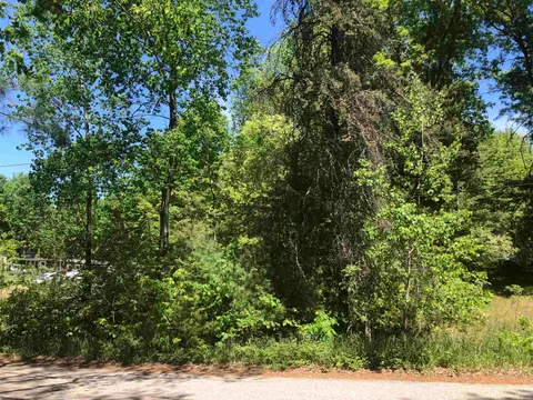 tbd N Scott Drive, Farwell MI 48622 photo 2