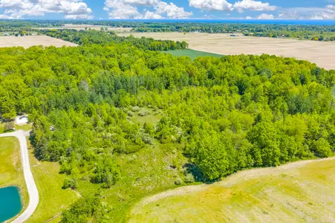 0000 Wellman Line Road, Croswell MI 48422 photo 5