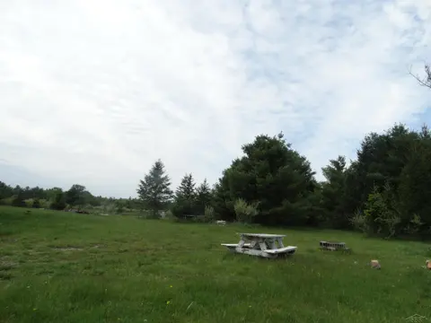 350 Fire Road, Omer MI 48766 photo 2