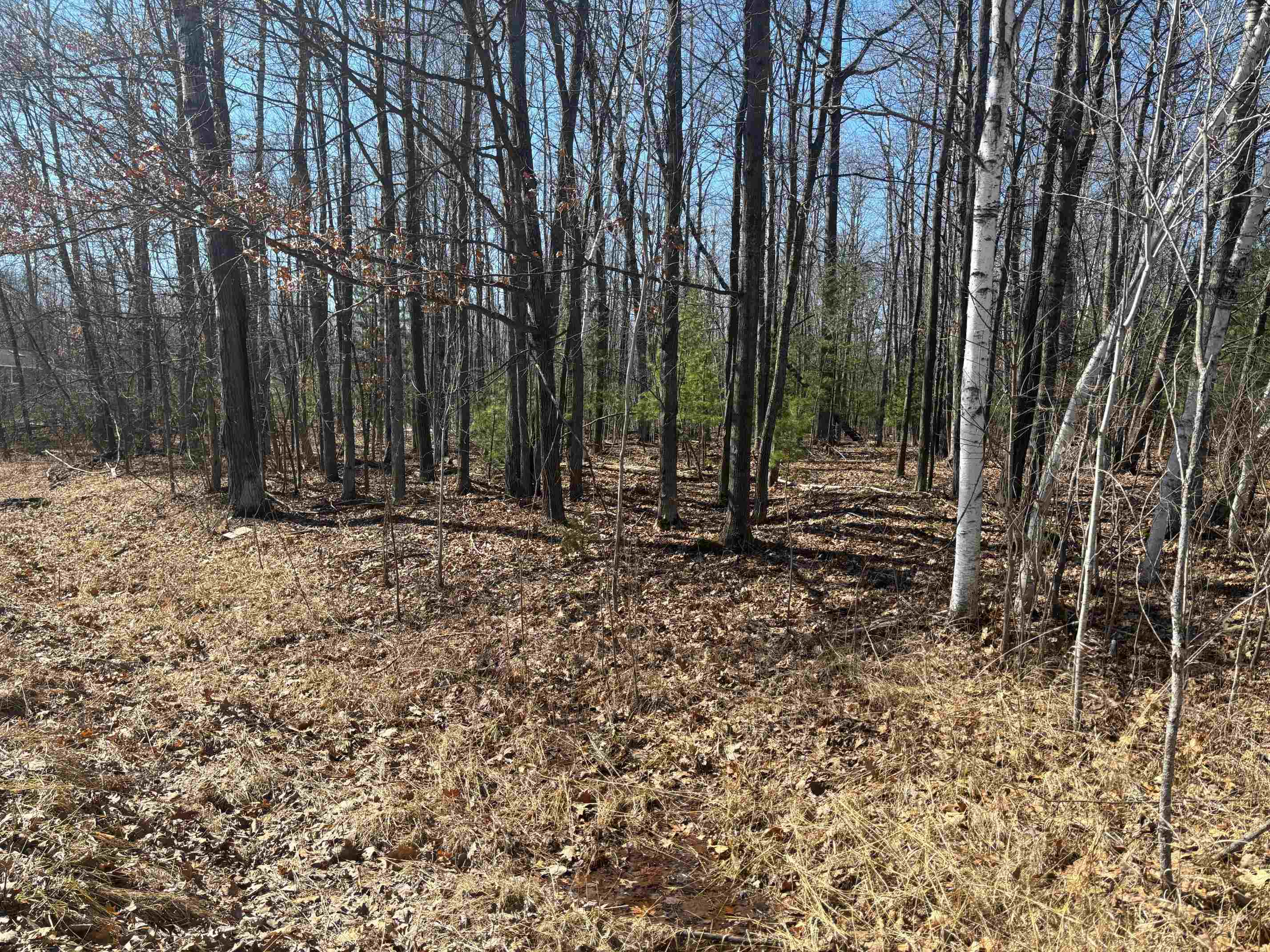 Pineway Drive, Gladwin MI 48624 photo 1