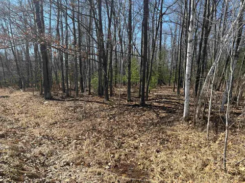Pineway Drive, Gladwin MI 48624 photo 1