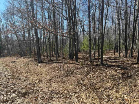 Pineway Drive, Gladwin MI 48624 photo 2