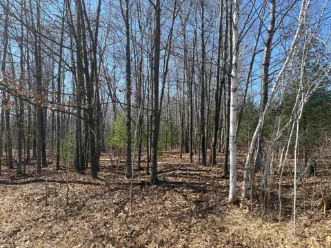 Pineway Drive, Gladwin MI 48624 photo 4