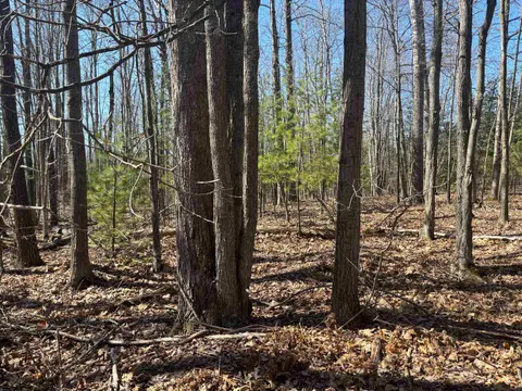 Pineway Drive, Gladwin MI 48624 photo 5